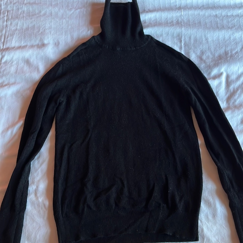 Everlane Cashmere Turtleneck